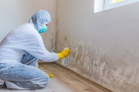 Best Black Mold Removal  in Sanborn, IA